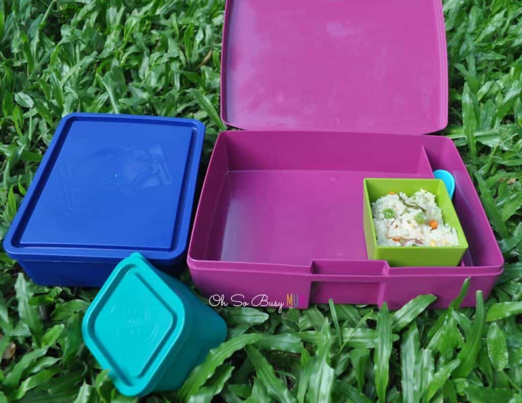 Laptop Lunches Lunch Box Review - Oh So Busy Mum