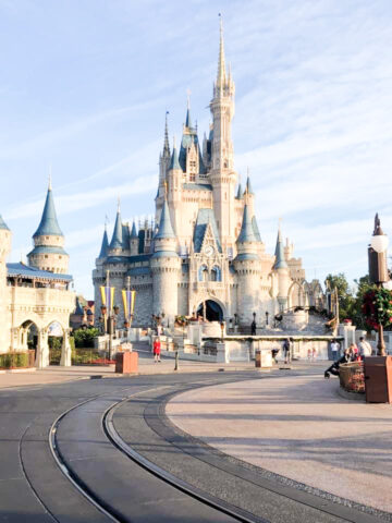 Disney World Castle