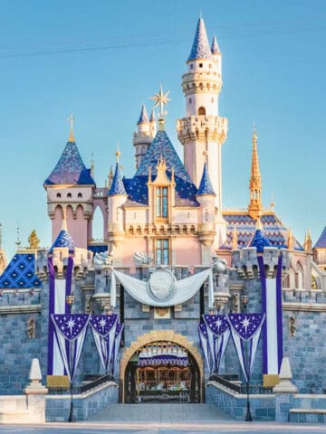 Top Tips for Planning a Trip To Disneyland from Australia
