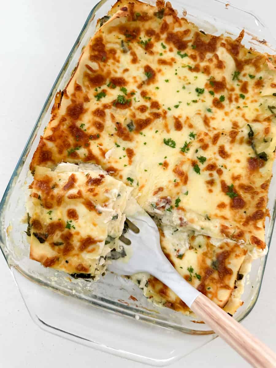 Creamy Chicken Lasagna 1