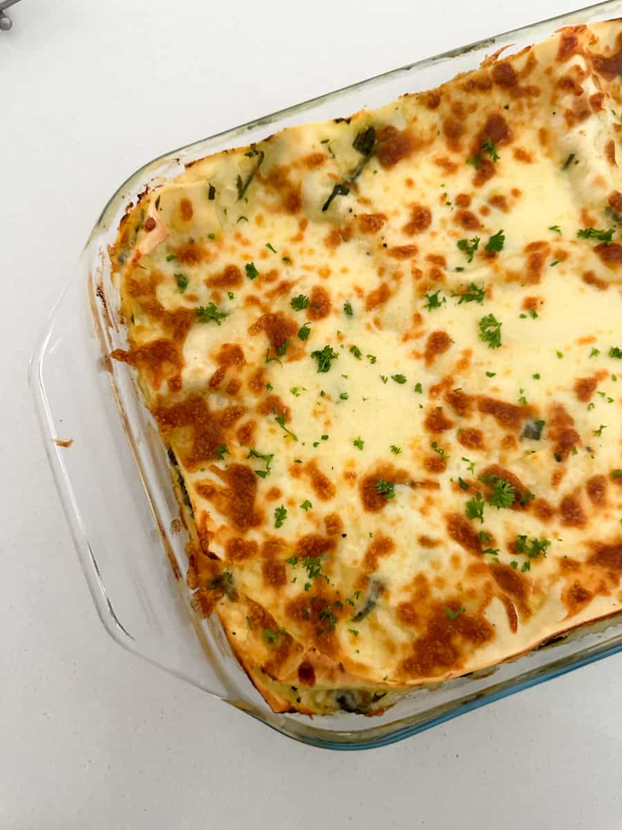 Creamy Chicken Lasagna 