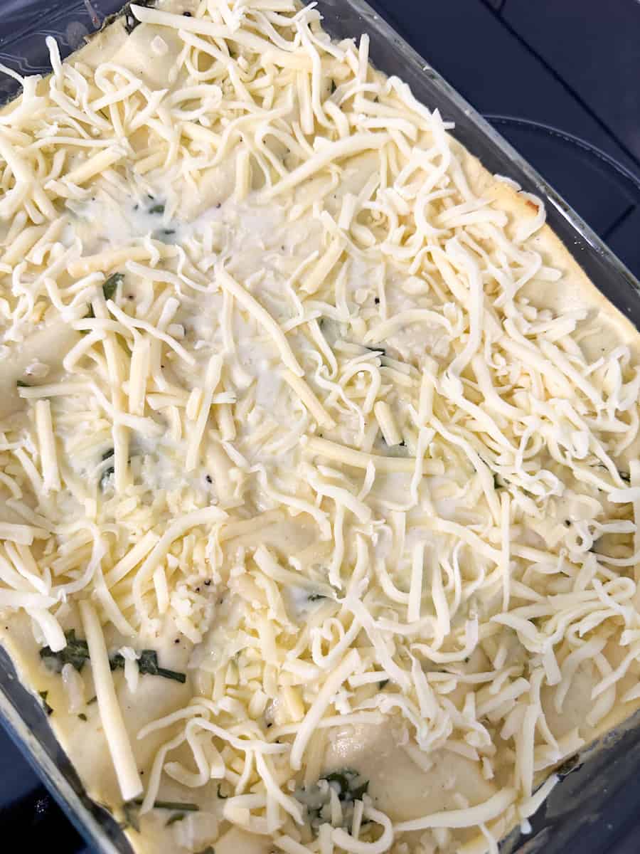 Creamy Chicken Lasagna 