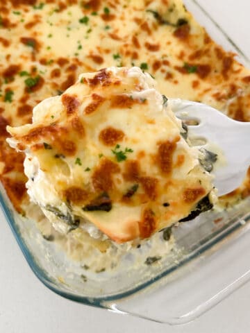 Creamy Chicken Lasagna