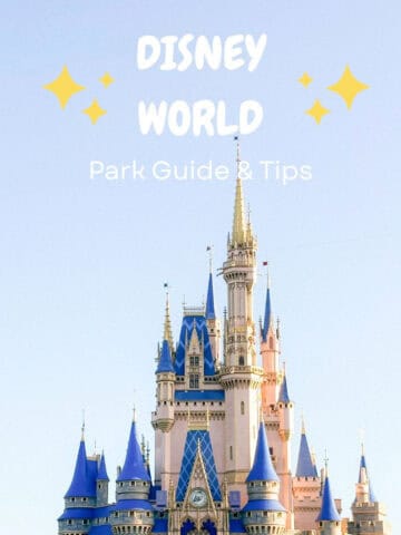 Disney world
